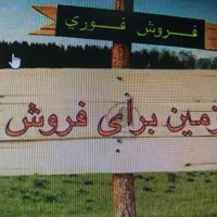 زمینی به مساحت 1004 متر