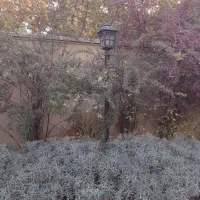 نظافت و خدمات