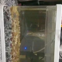 اگواریوم|ماهی|بندرعباس, |دیوار