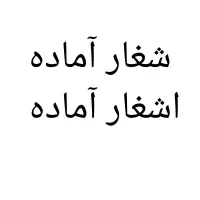 شغار ()اشغار آماده برای درست کردن کشمش