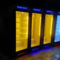 تک درب یخچال وفریزر ایستاده وبستنی صندوقی|فروشگاه و مغازه|زنجان, |دیوار