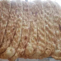 به شاطر بربری نیازمندیم