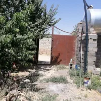 باغچه-باغ
