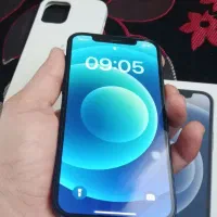 ایفون ۱۲ نرمال پلمپ