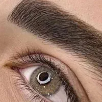 تخفیف ویژه یلدا برای ارایش داییم ابرو ولب|خدمات آرایشگری و زیبایی|رشت, حمیدیان|دیوار