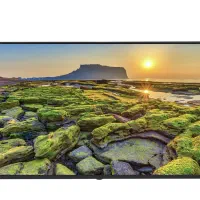 تلویزون 50اینج اسنوا
