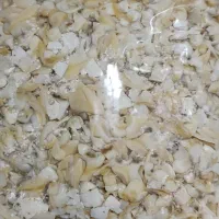 کالنگ‌یا‌صدف|ماهی|بندرعباس, |دیوار