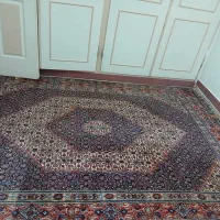 فرش دستباف|فرش|زاهدان, |دیوار