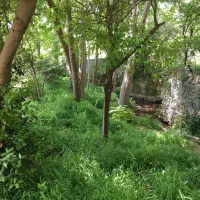 فروش-زمین-مسکونی-تهران-معاوضه-با-نوشهر