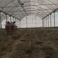 گلخانه‌ای اجاره ای