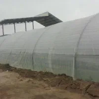 سازه گلخانه|مصالح و تجهیزات ساختمان|مشهد, چهاربرج|دیوار