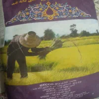 برنج ده کیلویی هندی