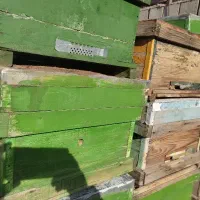 کندو زنبور عسل