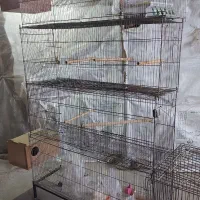 فروش قفس پرون|لوازم جانبی حیوانات|آمل, |دیوار