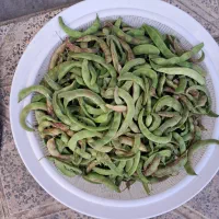 خوردنیها