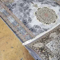 فرشینه ریشه دار|فرش|شیراز, بازار|دیوار