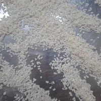 فروش برنج نیم دانه هاشمی