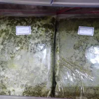 محصولات ناب|خوردنی و آشامیدنی|تهران, صد دستگاه|دیوار