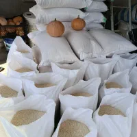 برنج طارم هاشمی|خوردنی و آشامیدنی|تهران, شهرک آسمان|دیوار