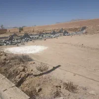 فروش زمین در یزد|خدمات باغبانی و درختکاری|مهریز, |دیوار