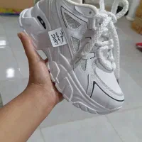 انواع کفش قیمت مناسب  زیر قیمت کل بازار