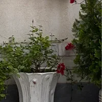 ۲عدد گلدان سفالی بزرگ