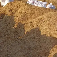 کاه|لوازم جانبی حیوانات|میناب, |دیوار
