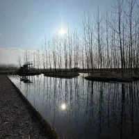 ویلایی که آرامشش ابدیه|فروش خانه و ویلا|نظرآباد, رسالت|دیوار