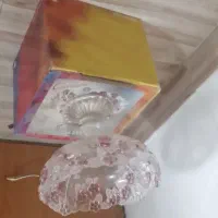 وسایل همه با کارتون|ظروف سرو و پذیرایی|رشت, هلال احمر|دیوار