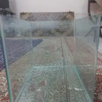 آکواریم|ماهی|بیرجند, |دیوار