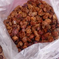 گل بنفشه خشک خالص آویشن خالص کمادون گل ختمی و...|خوردنی و آشامیدنی|کاشان, دروازه فین|دیوار