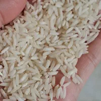 فروش برنج سنگ طارام معطر