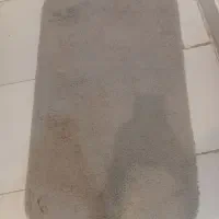 لوازم‌منزل|ظروف سرو و پذیرایی|پرند, فاز ۴|دیوار