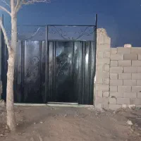 کسی هست پول بزاره