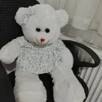 عروسک خرسی|اسباب‌‌بازی|ساوه, |دیوار