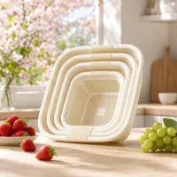 ابکش چهارگوش