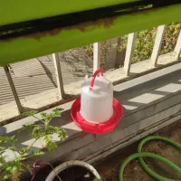 آبخوری و دونخوری بزرگ|حیوانات مزرعه|تهران, پاسداران|دیوار