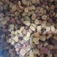 کشمش قوچان. درشت و مرتب