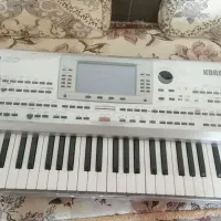 ارگ P80|پیانو، کیبورد، آکاردئون|جنت, |دیوار