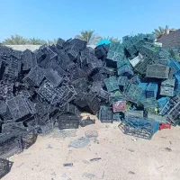 خریدسبد میوه وکارتون موز بابالاترین قیمت