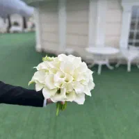 گلفروشی آنلاین|گل و گیاه طبیعی|رشت, پستک|دیوار