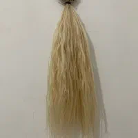 ۲۱۰شاخه مو طبیعی بلوند سر کراتین|آرایشی، بهداشتی، درمانی|نیشابور, شهرک اندیشه|دیوار