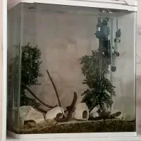 آکواریوم آکوا سفید سالم