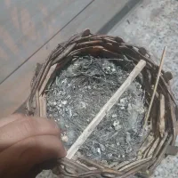 کوت عبدلله