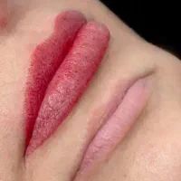 آموزش تخصصی شیدینگ لب با مدرک اقساطی مدل شید لب|خدمات آرایشگری و زیبایی|نیشابور, فضل|دیوار