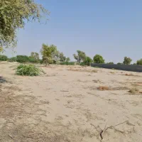 فروش زمین  حسن لنگی