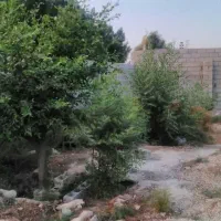 اجاره زمین ۷۰۰ متری دیوارکشی شده با امکانات|اجارهٔ دفتر صنعتی، کشاورزی، تجاری|چغادک, |دیوار