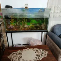 اکواریوم با کلیه ی لوازم