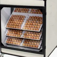 جوجهکشی با دستگاه پذیرش تخممرغ نطفهدار برهما|حیوانات مزرعه|تبریز, |دیوار