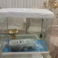 آکواریوم آکوآ|ماهی|سراب, |دیوار